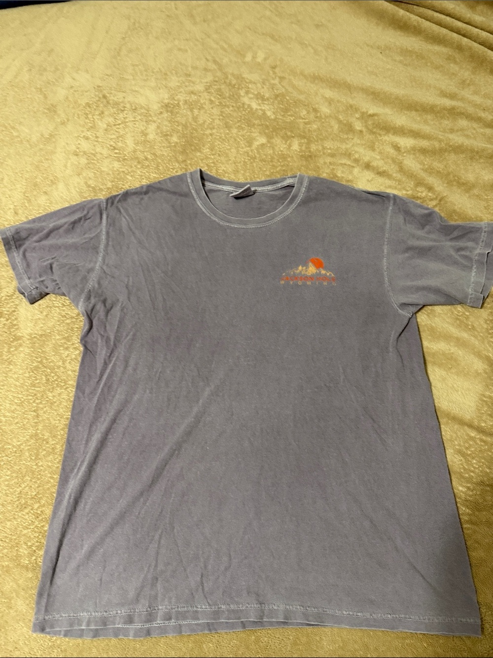 Comfort Colors Jackson Hole Wyoming Violet Purple Graphic Tee L Periwinkle